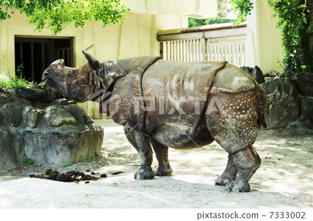 印度戒指 7333002