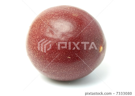 passion fruit  7333080