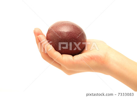 passion fruit  7333083