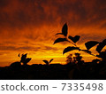 Akane sky _0004 7335498