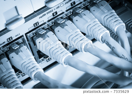 network hub and patch cables 7335629