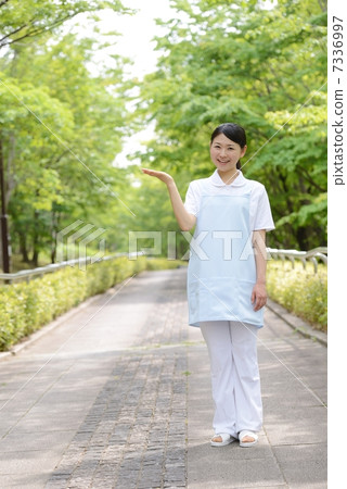 新鮮的綠色女性照料者 新鮮的綠色女性照料者 7336997