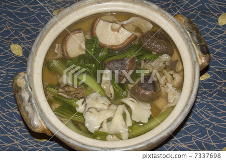 Mushroom pot   7337698