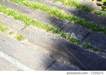 臥舖和草坪車棚 7338271