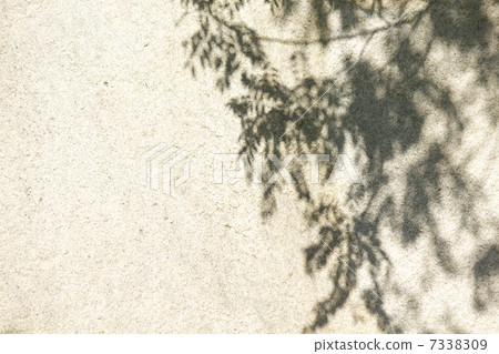 陽光透過一塊大石頭的表面 7338309