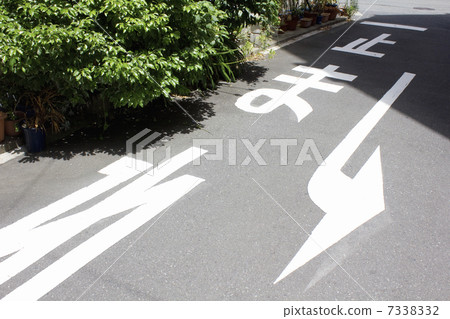 道路停止線 7338332