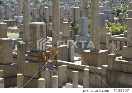 Tombstone of a cemetery cemetery 7338397
