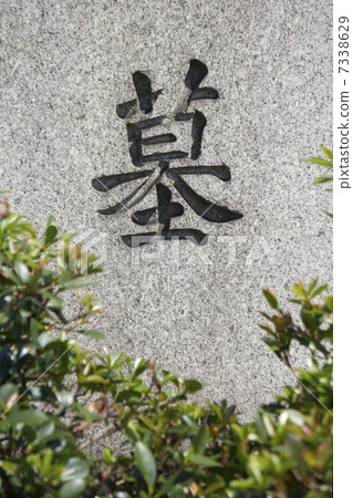 Tombstone of the cemetery 7338629