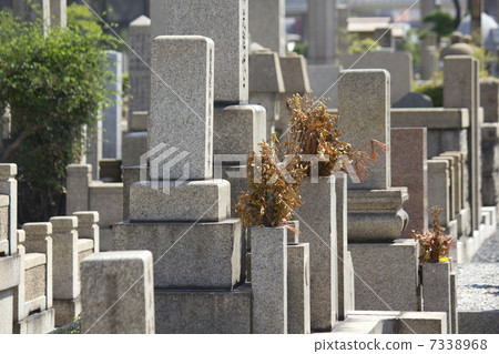Tombstones of the cemetery and dead flowers 7338968