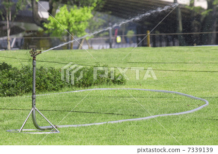 自動灑水噴灑在公園的草坪上 7339139