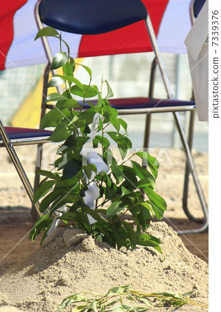 禮儀派對的臨時帳篷 7339376