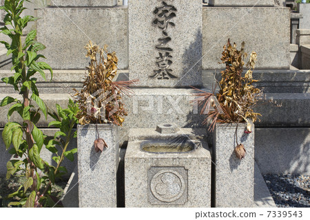 墓地和死花的墓碑 墓地和死花的墓碑 7339543