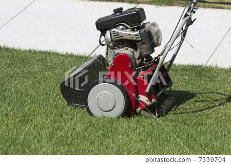 草坪和割草機在公園裡 7339704