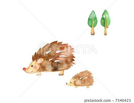 Hedgehog and forest Hedgehog and forest 7340423