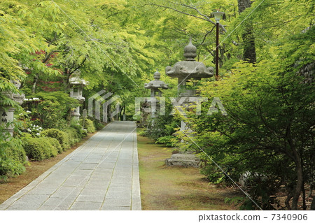 Yamamoto Fudo Yamamoto Fudo 7340906