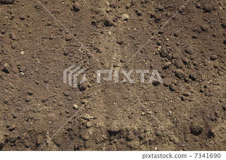Sat, field 7341690