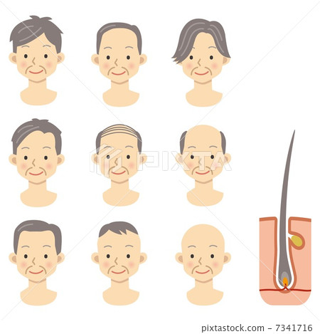 髮型 髮型 7341716