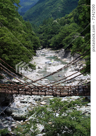 Iya Kei Kazura Bridge 7342500