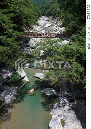 Iya Kei Kazura Bridge 7342502