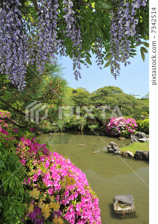 Kyoto Seongnam Palace Spring Shrine Kyoto Seongnam Palace Spring Shrine 7342514