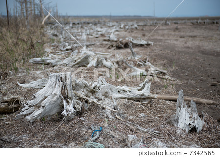 Nodoken Peninsula Todoara Nodoken Peninsula Todoara 7342565