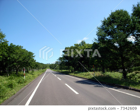 A straight road in nature! 7342609