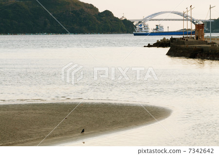 Seas of Kushimoto 7342642