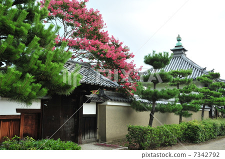 Summer of Kyoto Fukudera in Kyoto 7342792