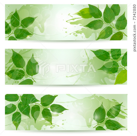 Three nature background with green spring leaves. Vector illustr Three nature background with green spring leaves. Vector illustr 7342880