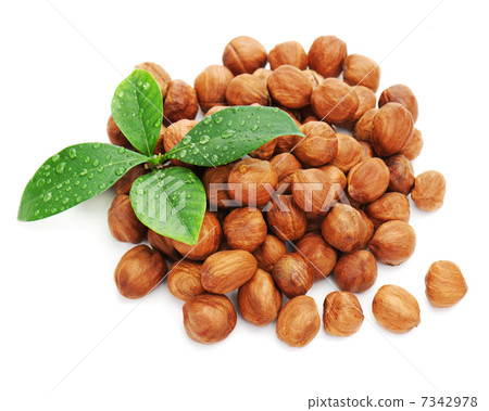 Heap of fresh shelled hazelnuts with green leaves isolated on wh 7342978