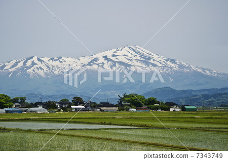 從車上的稻田和Chokaiyama 7343749