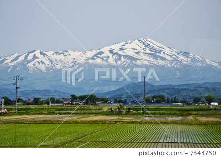 從車上的稻田和Chokaiyama 7343750