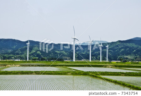 您想要從汽車的稻田和風車 您想要從汽車的稻田和風車 7343754