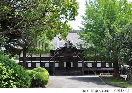 Kozoji Shichuibandai 7343833