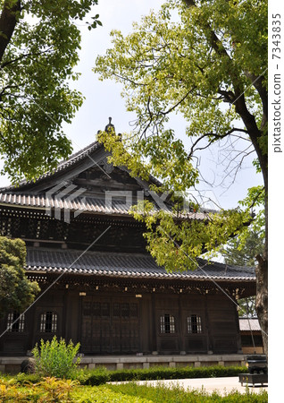 Mr. Templeji Buddha 7343835