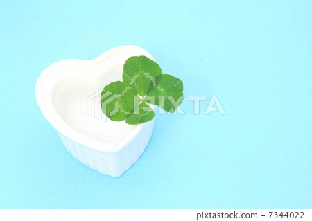 四葉三葉草 7344022