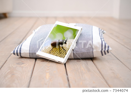 Picture of beetle displayed on tablet 7344074