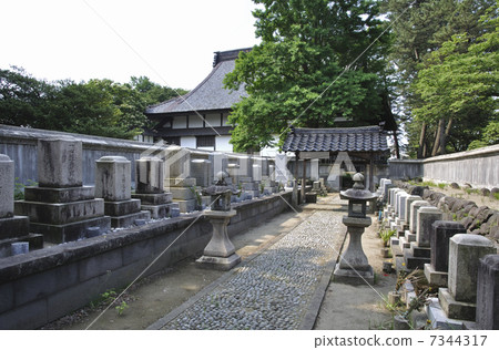 在初夏坂田·Kufukuji Honma家庭菩提 7344317