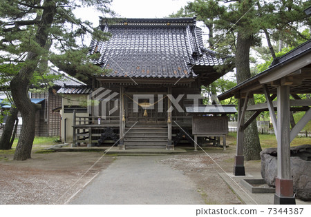 Sakata·Kishimoto節日在初夏 7344387