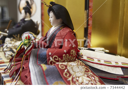 “希娜”娃娃從側面位置的雌性小雞 7344442