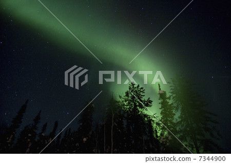 Aurora of Canada / Yellowknife 7344900