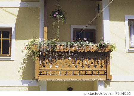 Balcony flowers 7344995
