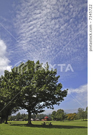 初秋的Koiwai農場·Makiba公園 7345722