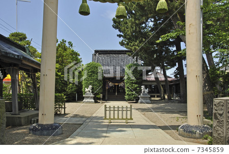 Sakata·Yakumo Shrine在初夏 7345859