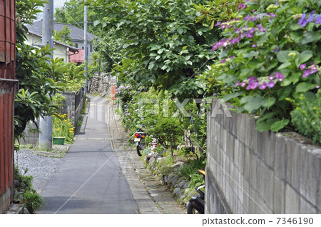 A walk on Ome plum · Ome plus inn A walk on Ome plum · Ome plus inn 7346190