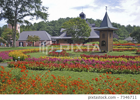 初秋的Koiwai農場·Makiba公園 7346711