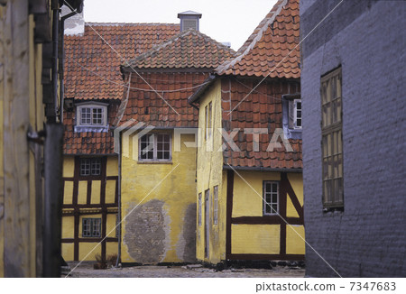 Yellow house 7347683