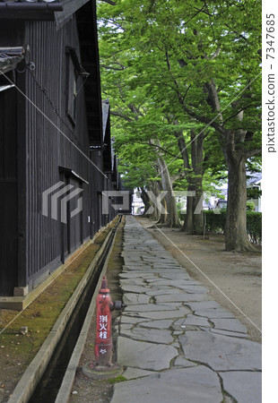 Sakata · Yamaoku warehouse in early summer and rower row of Zelkova 7347685