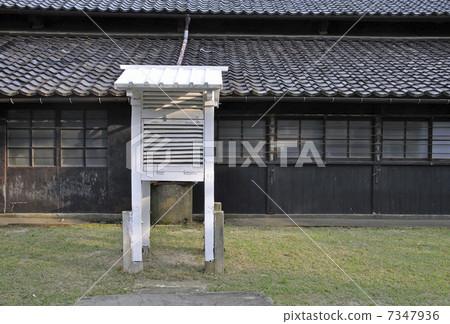 Early summer Sakata · Hyogo prefecture 7347936