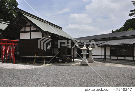 青梅步行/勝沼神社 7348247